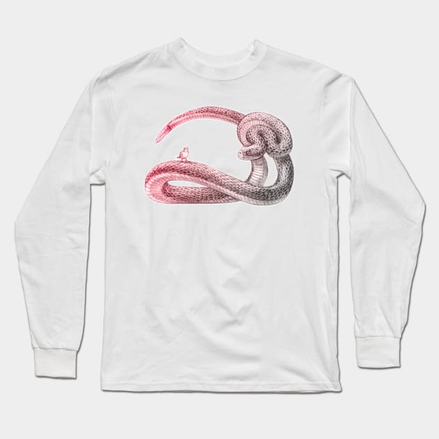 Hey, Little Songbird (red&grey) Long Sleeve T-Shirt by zstith